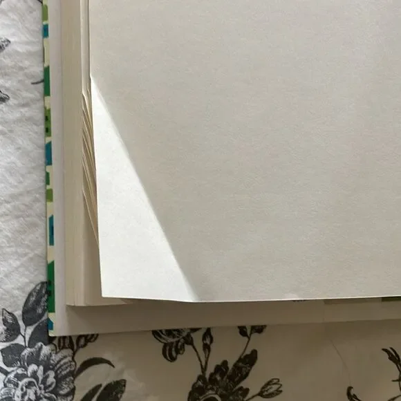 WHITE ELEPHANT by Julie Langsdorf - Picture 4 of 4